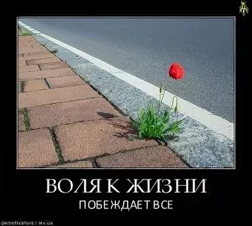 Жить и побеждать