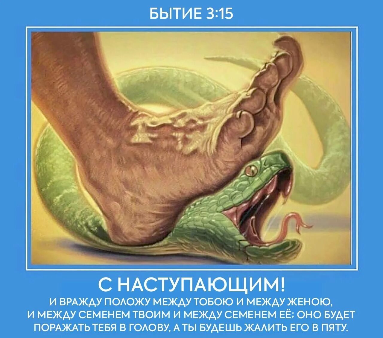 освобождение от грехов. вся суть греха. вся суть греха. всякая неправда есть грех. рабство греха.