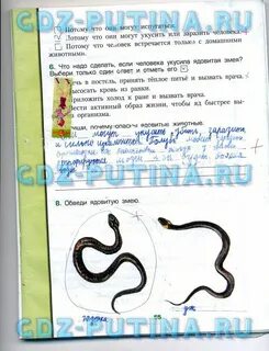 Гадюка окружающий мир 3 класс рабочая тетрадь