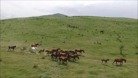 Туган жерим