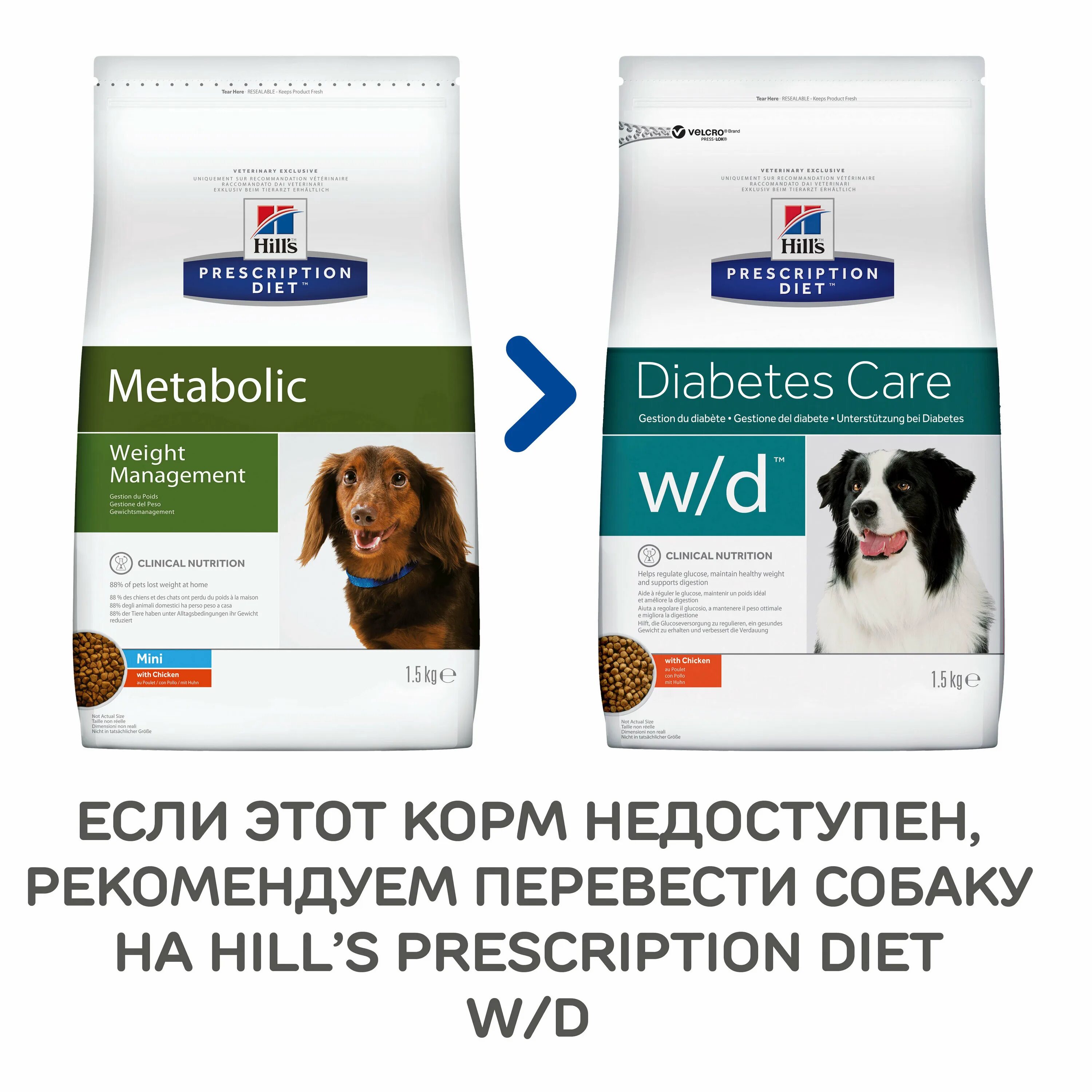 Metabolic корм для собак. Корм для собак Хиллс Метаболик. Корм для собак Hill's Prescription Diet metabolic. Хиллс Метаболик для собак. Корм для собак Метаболик для мелких пород.