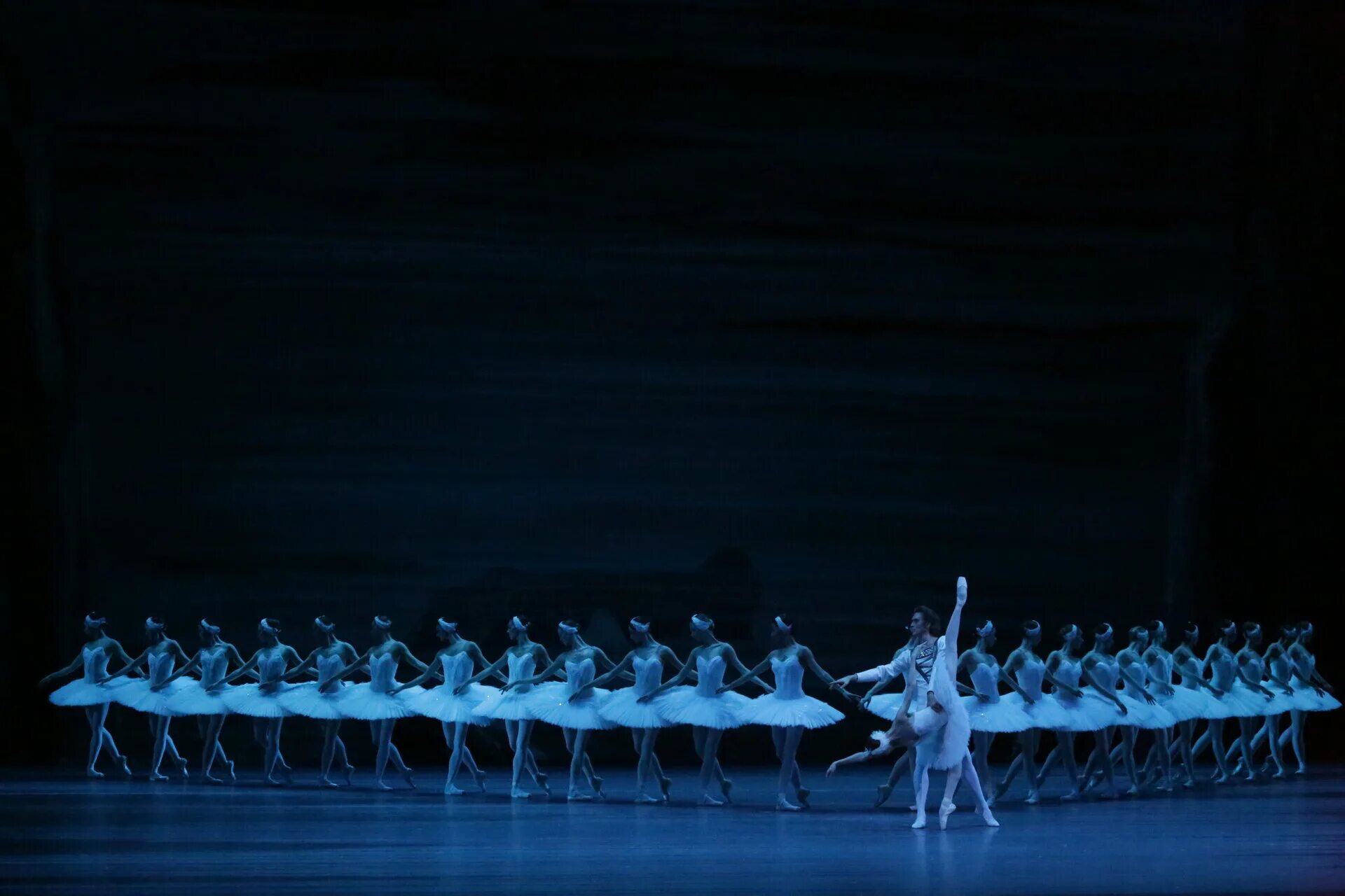 лебединое озеро 2014. лебединое озеро 2014. лебединое озеро 2014. чайковского «лебединое озеро». лебединое озеро захарова и родькин 2015.