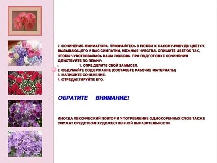 План миниатюры