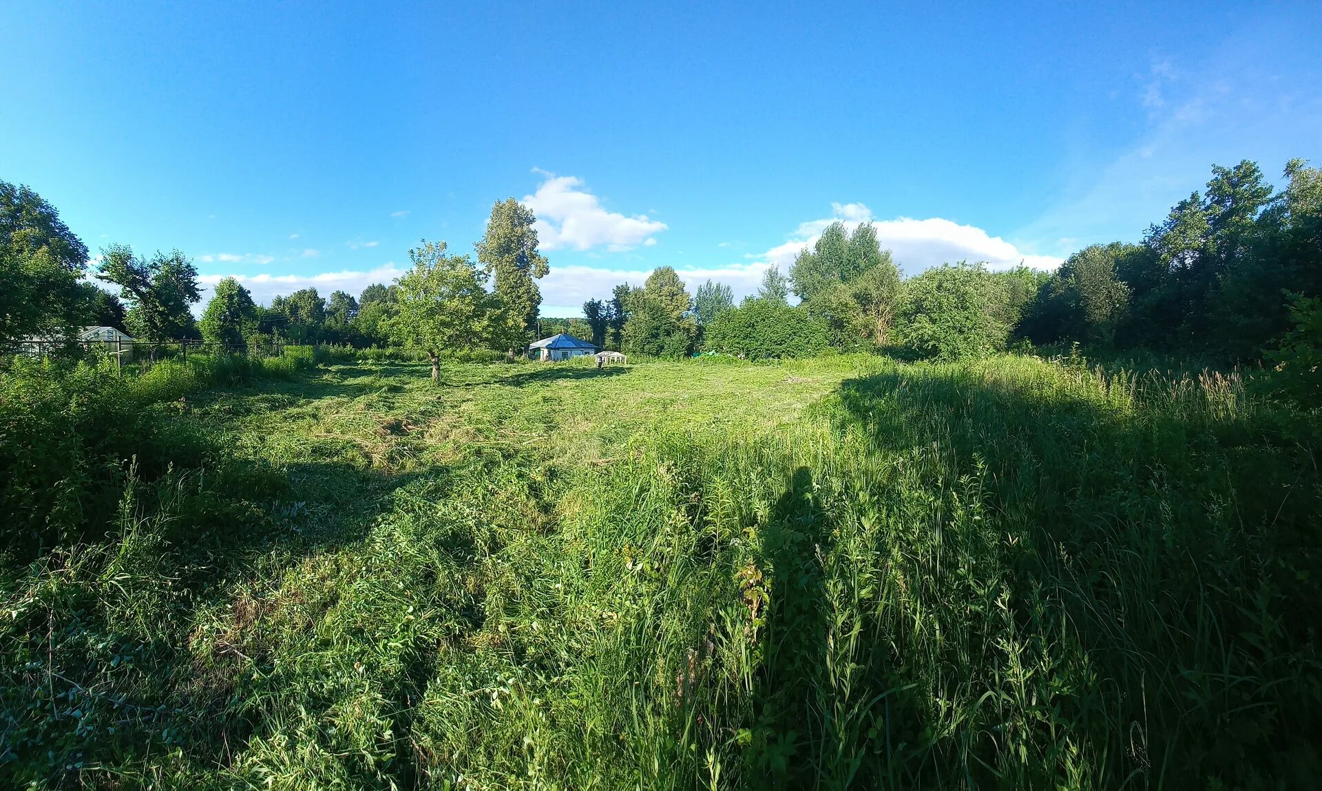 Калужская область, тарусский р-н, д. Ясная, д. Р. Вч ромашка тула. Деревня камышовка ульяновская область улица луговая.