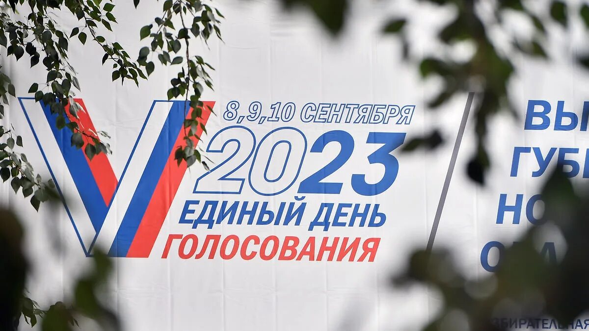 Выборы 2023. Выборы заставка. Выборы в 2023 году в России картинки. Выборы губернатора 2023.