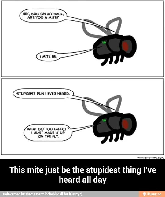 Some bugs перевод. Анекдоты про насекомых. bug мем. bug перевод. mite перевод.