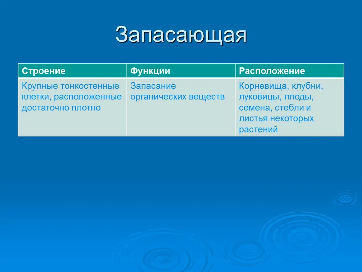 Структура расположения