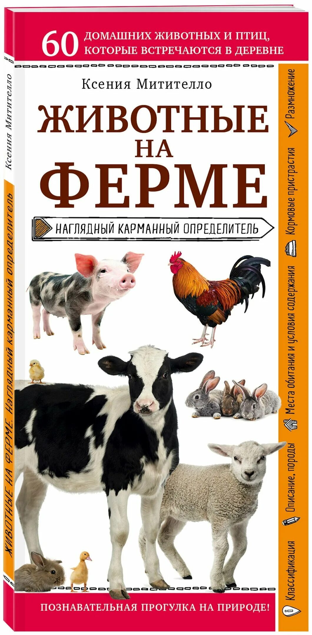 Книги о домашних животных читать. Митителло к.б. "животные на ферме". Карманный определитель Эксмо животные на ферме.