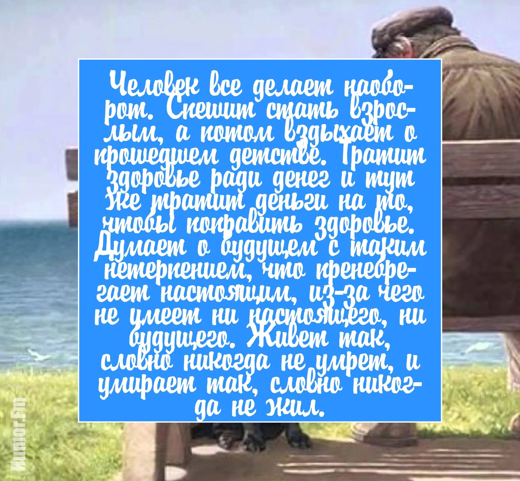 Цитаты из алхимика пауло коэльо. Алхимик цитаты. алхимик пауло коэльо цитаты. фразы из алхимика. цитаты алхимик пауло.