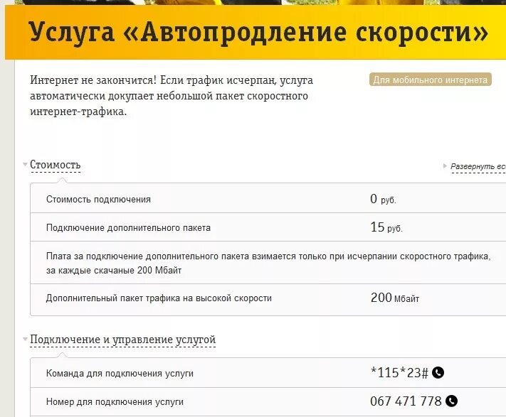 Автопродление интернета билайн. Автопродление скорости Билайн. Автопродление скорости интернет трафика. Билайн дополнительный интернет.