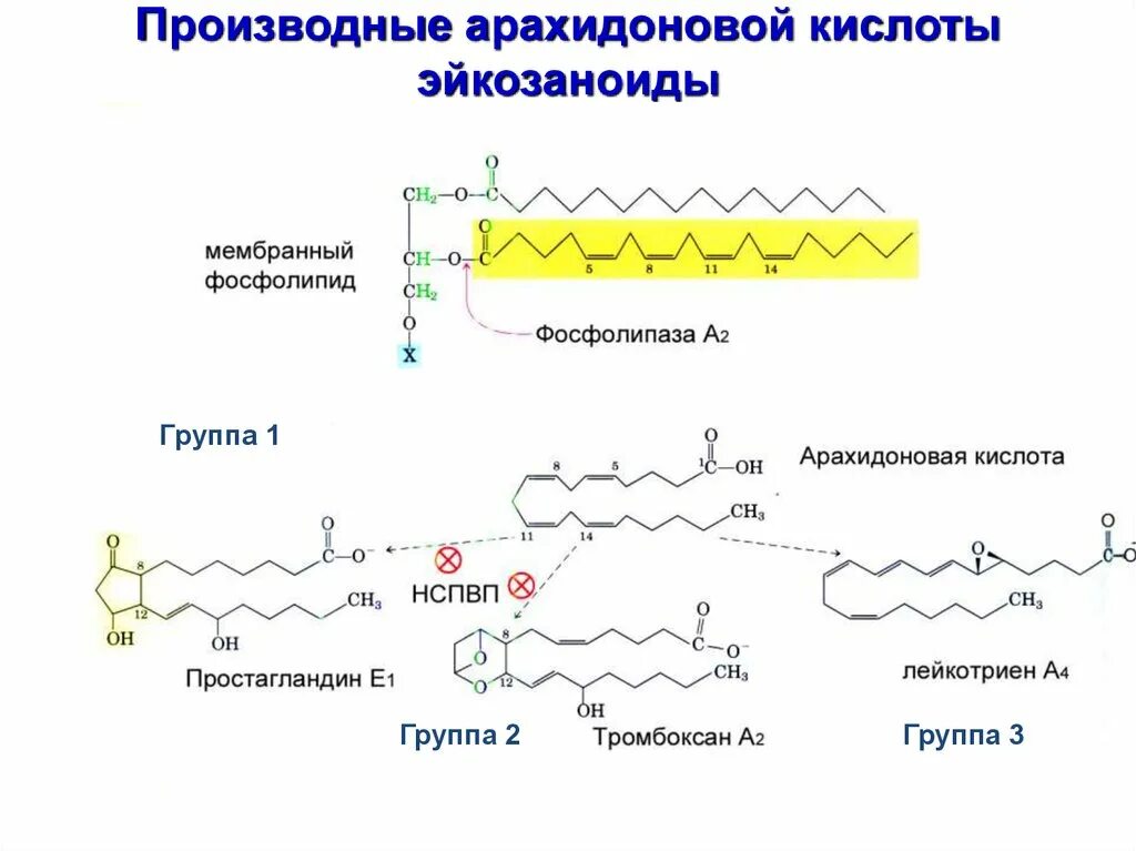 Производные арахидоновой кислоты. Арахидоновая кислота бета окисление. Фосфатидилхолин с арахидоновой кислотой. Фосфатидилхолин с остатками олеиновой кислоты и арахидоновой. Альфолипоевая кислота