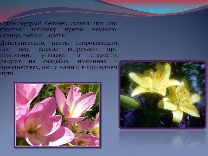 Ахматова анна андреевна стихотворение поэт. Ахматова цветы. Ахматова с цветами. Анна ахматова. Бунин об ахматовой.