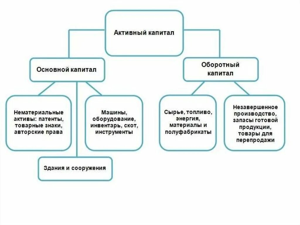 Характеристика основного капитала. Основной и оборотный капитал. Структура основного капитала. Основной и оборотный капитал это в экономике. Виды капитала основной и оборотный.