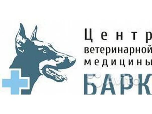 Центр ветеринарной медицины барк архангельск. Центр ветеринарной медицины барк архангельск. Центр ветеринарной медицины барк. Центр ветеринарной медицины барк архангельск. Шабалина собака.