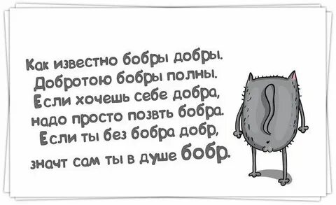 Как известно бобры добры. Бобры добры текст. Как известно бобры добры. Как известно бобры добры. Бобер с новым годом.