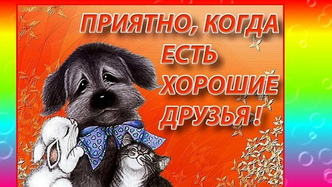 Открытка "другу!". Красивые открытки другу мужчине. Открытка хорошему другу. Друзья фото открытки. Открытки самому хорошему другу.