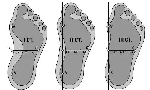 1 3 стопы