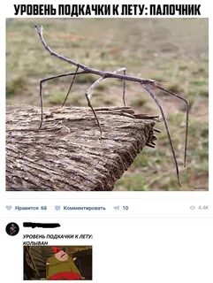 Нравится комментировать