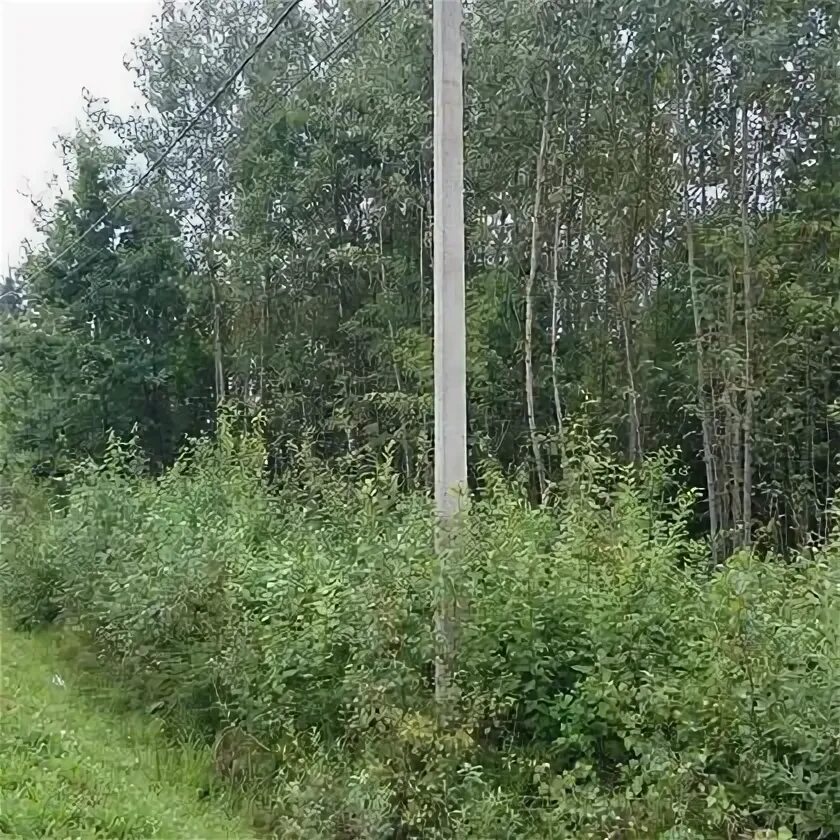 Мировой судья по ул. Сивково, киз "зеленая роща-1", уч. 235 участок москва. 235 участок москва. Участок 18 соток.