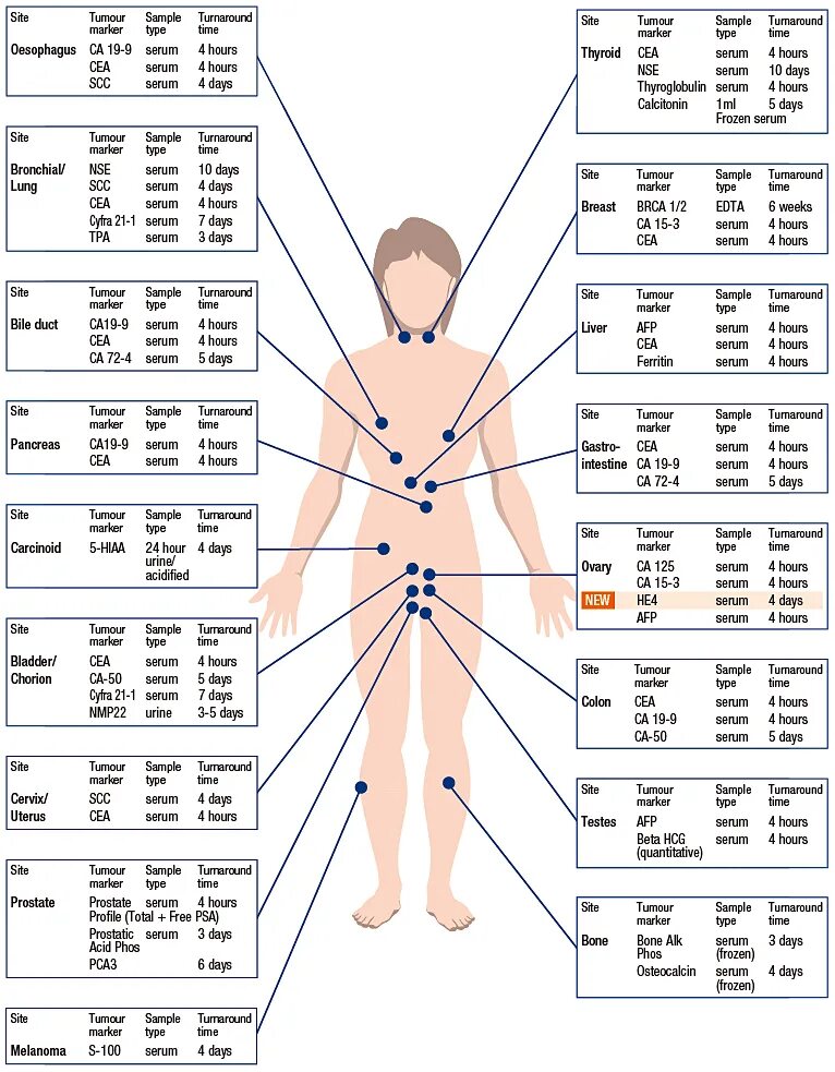 Таблица онкомаркеров. Таблица онкомаркеров для женщин. Схема онкомаркеров на теле. Направление на онкомаркеры. Са 72 4 онкомаркер расшифровка норма