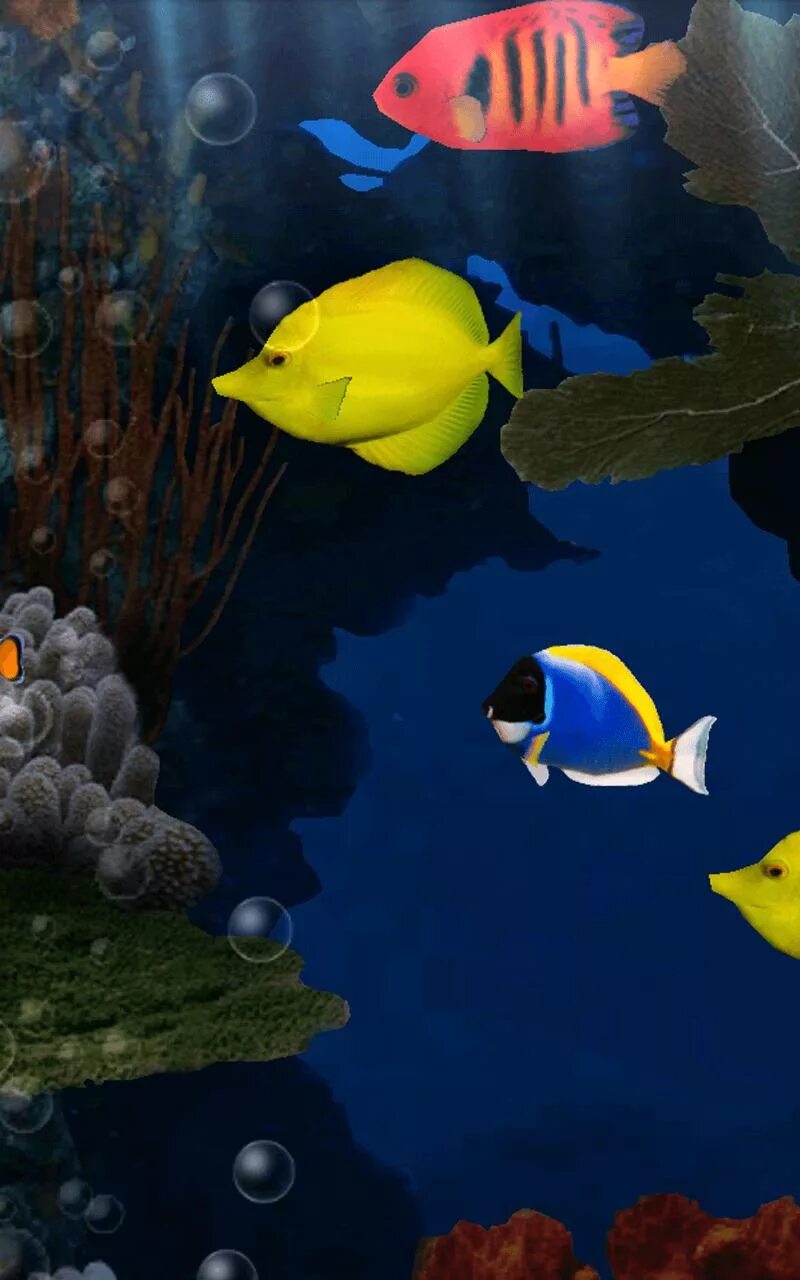 Живой аквариум андроид. Живые рыбки. Живой аквариум. Скринсейвер аквариум. Аквариум рыбки на экран.