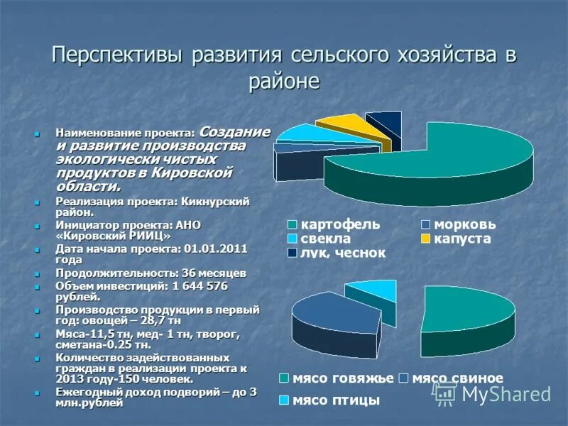 Перспективы развития продукта