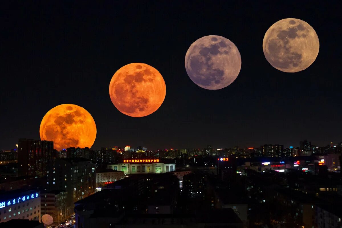 Лунное затмение Кровавая Луна. Лунное затмение 19 ноября 2021. Огромная Луна. Лунное затмение фото.