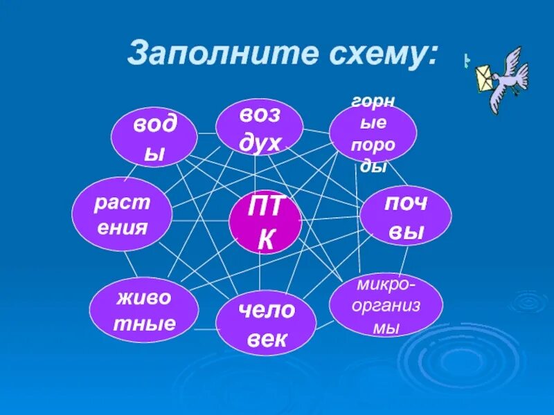 Птк бывают. Схема ПТК России. Что такое ПТК В географии. ПТК география 8 класс. ПТК горный схема.