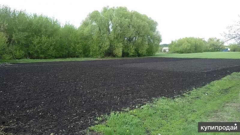 Погода терновка воронежская на неделю. Село Терновка Воронежская область. Село Новокирсановка Терновского района. Новокирсановка Терновский район Воронежская область село. Воронежская область Терновский район село Новокирсановка школа.