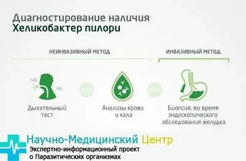 Хеликобактер симптомы у взрослых форум