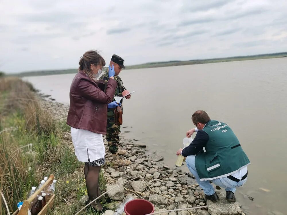 Погода лиман ставропольский край. Новомарьевский Лиман Ставропольский край. Озеро Новомарьевский Лиман Ставропольский край. Новомарьевский пруд Ставрополь. Новомарьевский Лиман рыбалка.