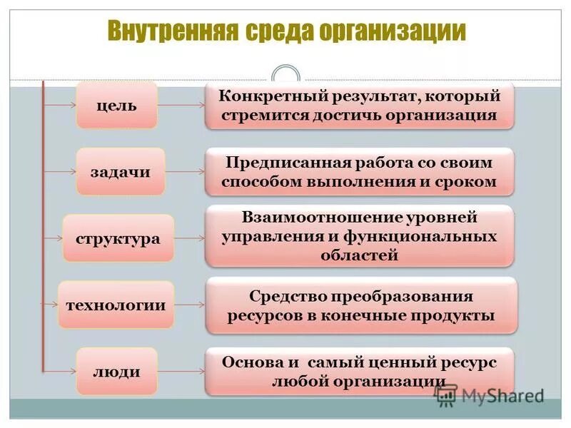 Внутренняя среда организации. Внутренняя среда предприятия менеджмент. Внутреннее строение социальных организаций. Сущность понятия социальная организация. Внутренняя среда технология люди.