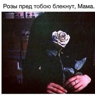 Пули как женщины влюбляются