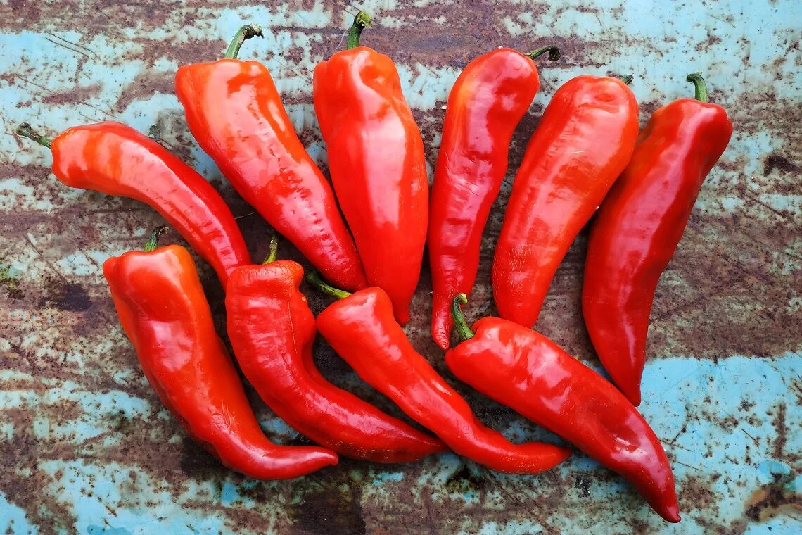 перец рамиро красный. перец рамиро сладкий семена. сорт рамиро перец сладкий. перец сладкий рамиро ~ 500г. перец рамиро семена.