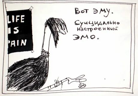 Отзывы не делающие чести