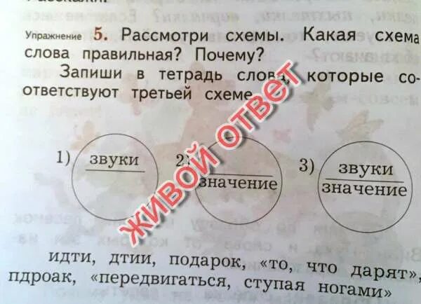 Рассмотри схемы в каких случаях. Рассмотри схемы какая схема слова правильная. Запиши слова которые соответствуют звуковой схеме. Схема слова тетрадь. Схема слова звуки значение 2 класс.