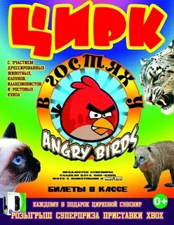 Цирк в реутово