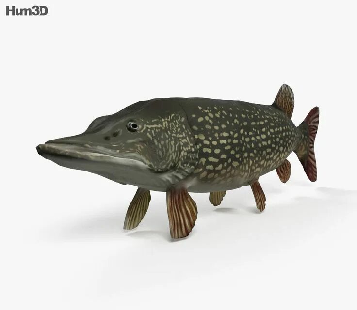 Pike 3. Pike 3. Саваж гир приманки. Pike 3. Pike 3.