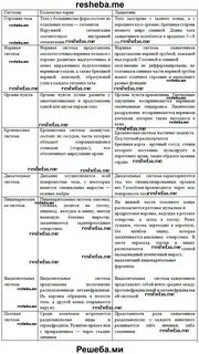 Сравнительная характеристика позвоночных животных