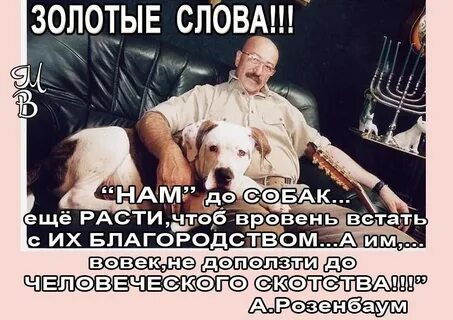 Нам до собак еще расти чтоб вровень