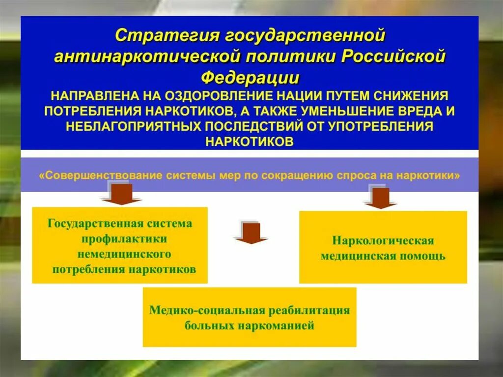 Направления антинаркотической политики