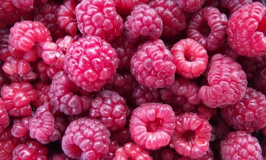 Поздравления с днём рождения карине. Сибирская малина. Малинка 13. Сладости в виде сердца. Малина августовское чудо.