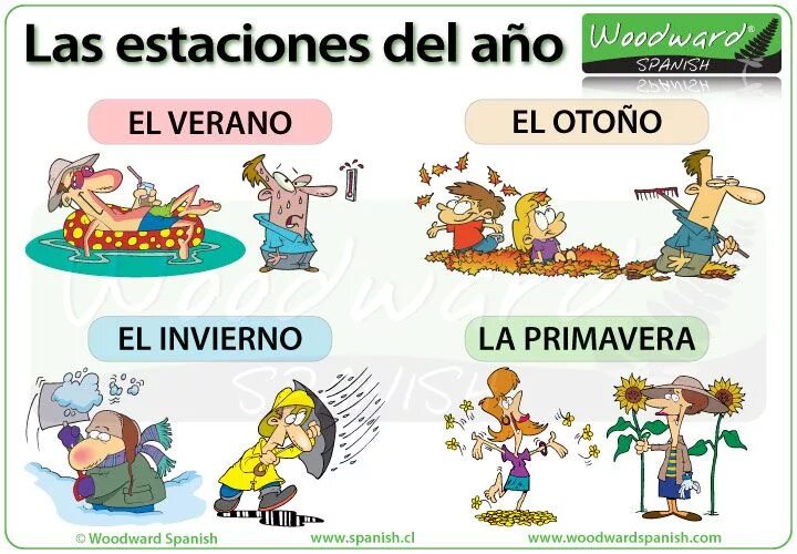 Жизнь по испански. Времена года на испанском языке. Месяцы на испанском языке. Испанские глаголы для детей. Испанские глаголы в картинках.