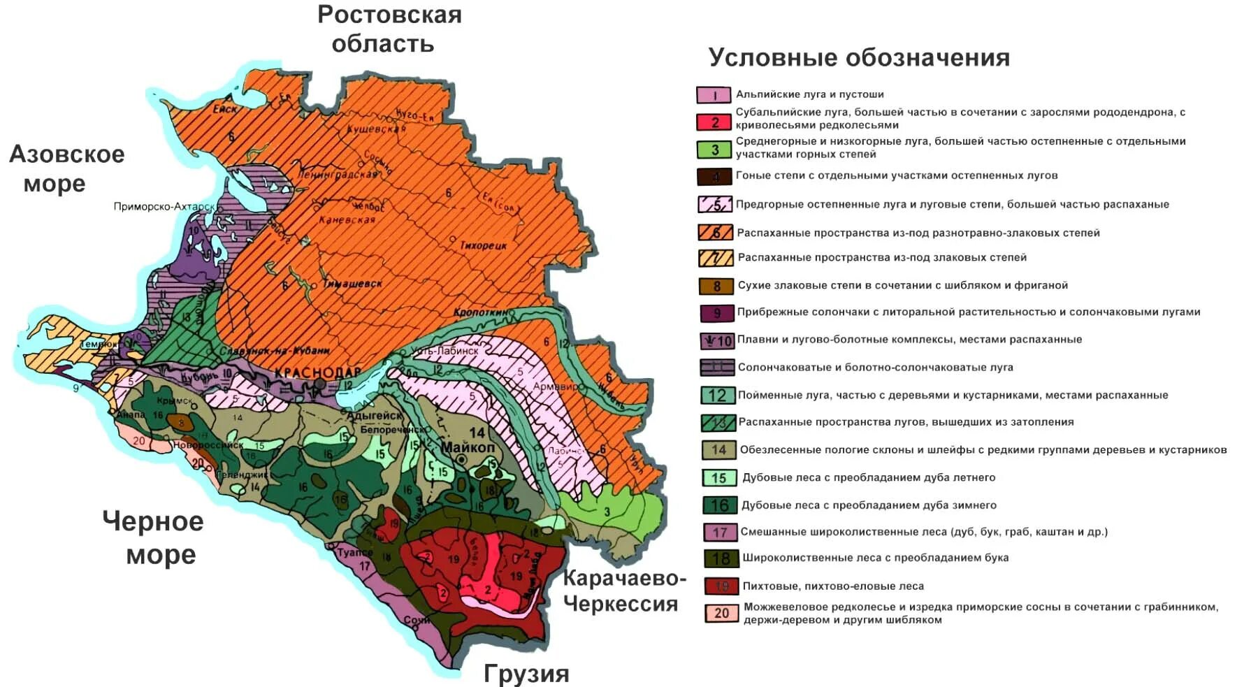 Какой будет март в краснодарском крае. Карта растительности Краснодарского края. Карта почв Краснодарского края. Карта почв Краснодарского края по районам. Почвенная карта Краснодарского края.