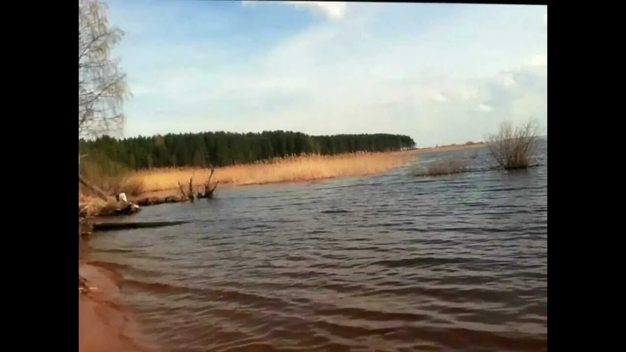 Рыбинское видео. Весьегонск Рыбинское водохранилище. Пляж Григорово Рыбинское водохранилище. Михальково Рыбинское водохранилище. Бабарино Рыбинское водохранилище.