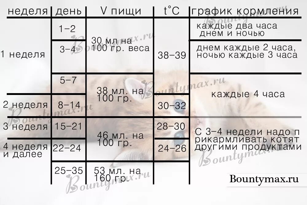 Таблица кормления котят до 2 месяцев. Сколько в день кормить котенка 5 месяцев. Сколько корма давать котенку в 1.5 месяца. Сколько раз кормить 1.5 месячного котенка в день. Чем кормить котенка без мамы