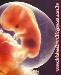 Үлкен кеуделі қызы әкесін желіде жыныстық қатынасқа түсіреді