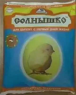 Жизнь цыпленка