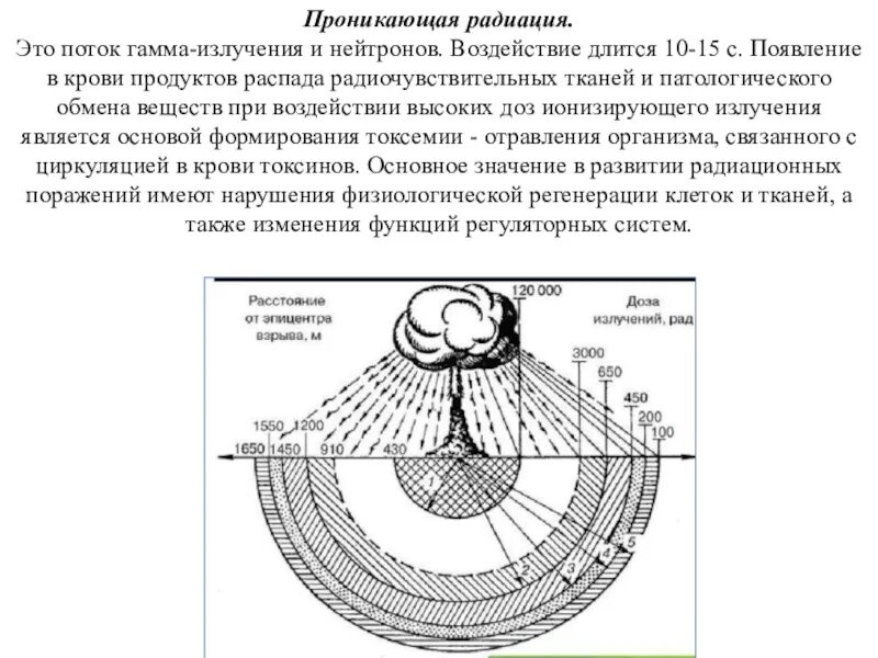 Радиус поражения проникающей радиации. Проникающая радиация ядерного взрыва. Излучение радиация проникающая радиация ядерного взрыва. Проникающая радиация ядерного взрыва зоны. Поражающие действия проникающей радиации