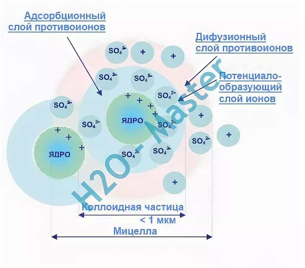 Окружение ионы. Окислительные свойства манганата. Сольватация ионов. Ионы соли. Схема ионной связи натрия и фтора.
